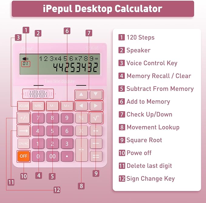 Calculators Desktop, Desk Calculator with Large 2 Line Display, Talking Basic Calculator with big Button & Adjustable Volume, 4 Function Calculators for Business, Students,School Office Supplies(Pink)-DeskLoop Office