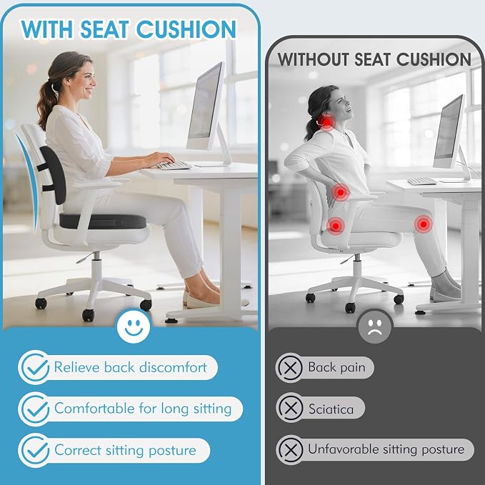 CushZone Seat Cushion, Lumbar Support Pillow - Image 3