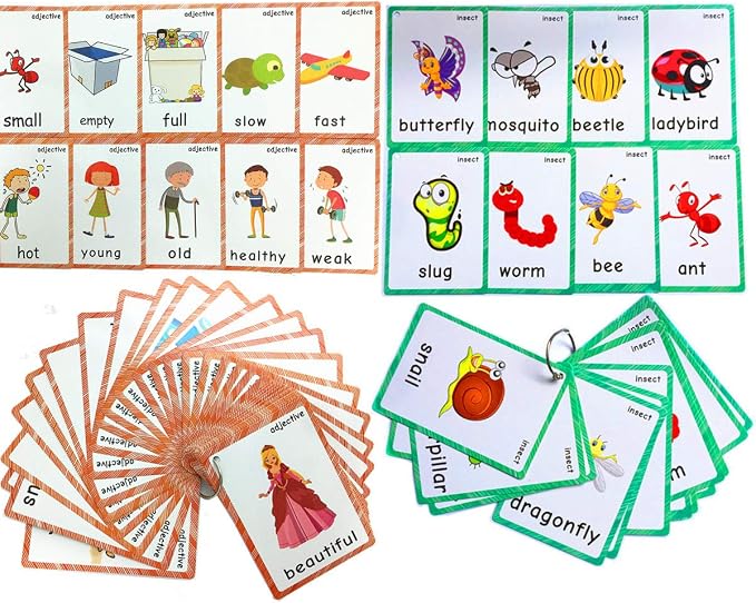 Set of Adjective&Antonym and Insect Flash Cards by SANTSUN