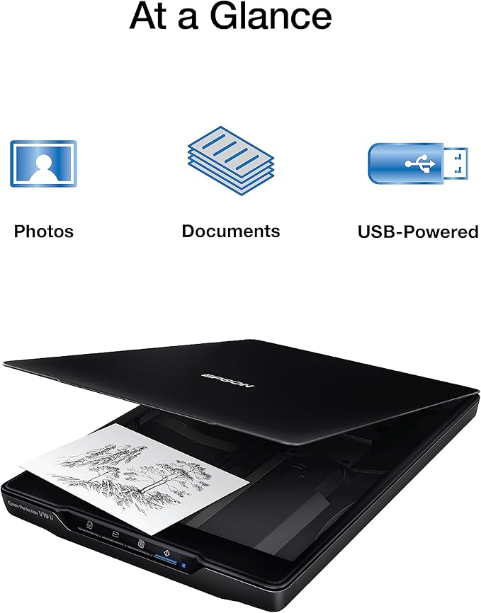 Epson Perfection V19 II Color Photo and Document Flatbed Scanner with 4800 dpi Optical Resolution, USB Power and High-Rise, Removable Lid-DeskLoop Office