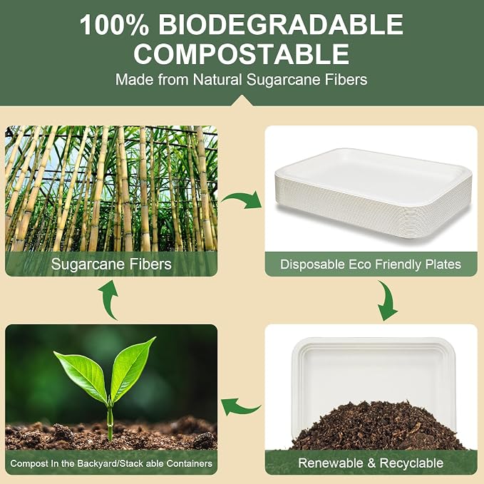 14 Inch Disposable Paper Plates, 10 Pack | Bagasse Food Trays, Compostable & - Image 4