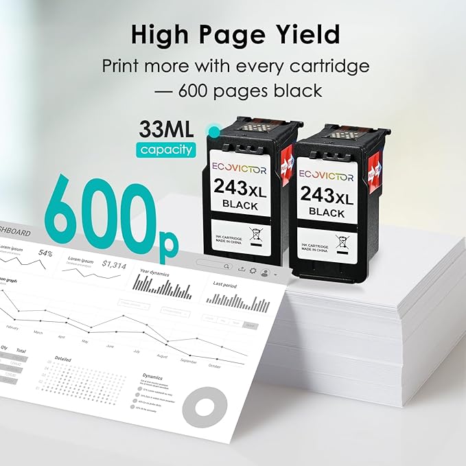 243XL Black Compatible Ink Cartridge Replacement for Canon 243 243XL PG-243 PG 243 XL Black Ink Cartridges for TR4520 TR4522 MG2522 MX490 MX492 TS3320 TS3120 TS202 MG2922 Printer (2-Pack)-DeskLoop Office