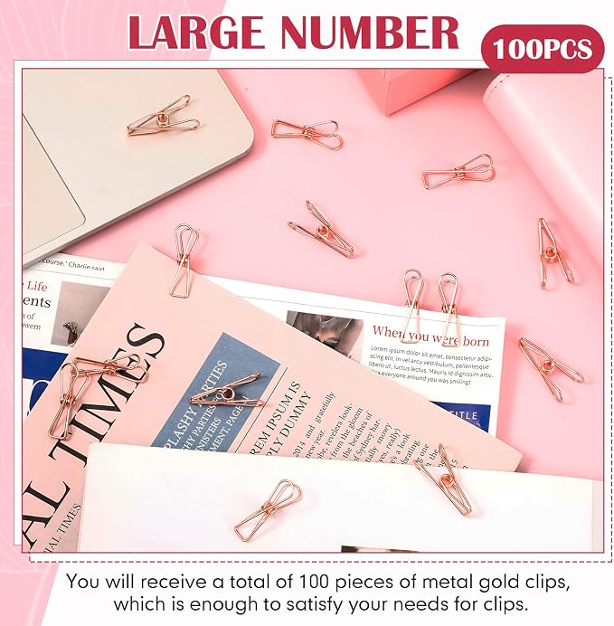100 Pcs Paper Clips Metal Wire Hollow Out Clothespins Multi Purpose Utility - Image 3