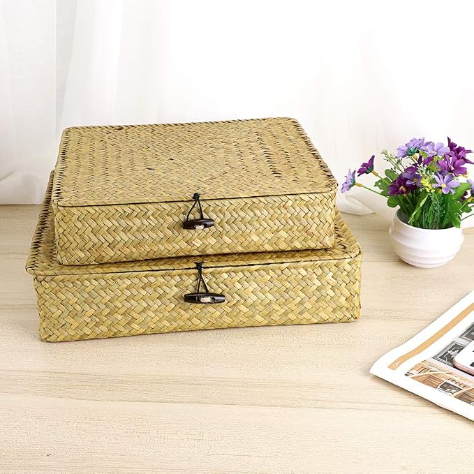 Hipiwe Natural Seagrass Storage Bins - Image 2