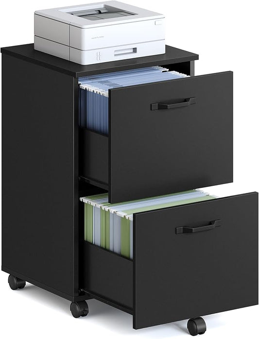 VASAGLE 2-Drawer File Cabinet, Small Rolling Filing Cabinet for Home Office, Printer Stand, for A4, Letter-Size Documents, 15.7 x 16.5 x 27.6 Inches, Matte Black UOFC040B16-DeskLoop Office