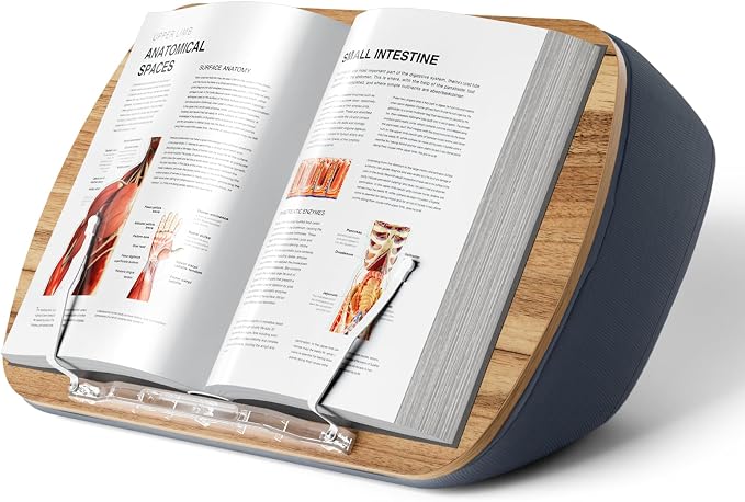 ERGONOV Lap Beanbag Book Stand for Hands Free Reading Comfortable Reading by ERGONOV
