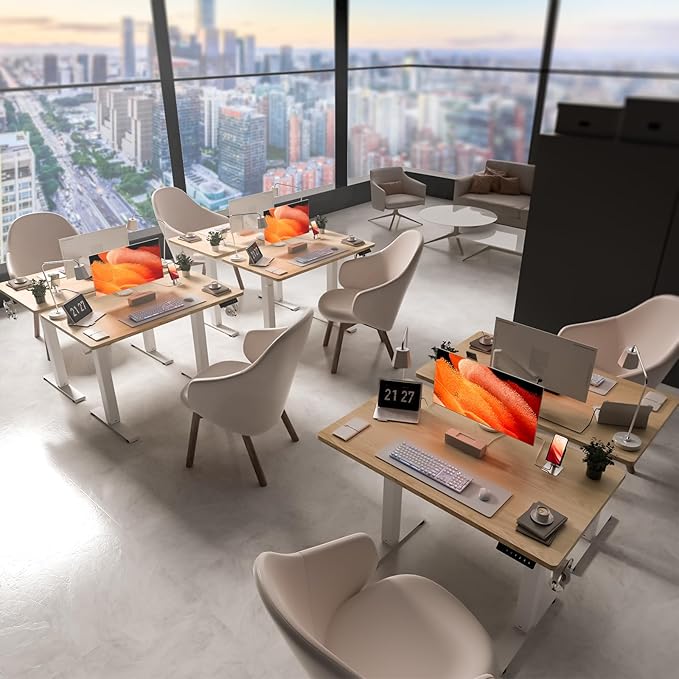 40 * 24 Electric Standing Desk, Adjustable Height Sit Stand Up Desk, Motorized Home Office Computer Gaming Workstation Desk-DeskLoop Office