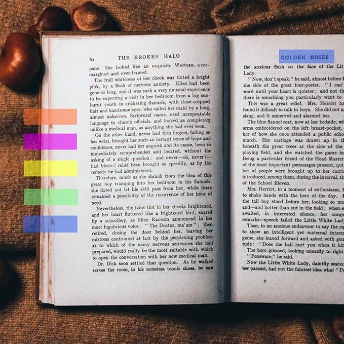 3000 Pieces Neon Page Markers Sticky Index Tabs, Colored Index Tab Flags, Fluorescen Sticker Tabs Note for Books, 12 Sets 2 Designs-DeskLoop Office