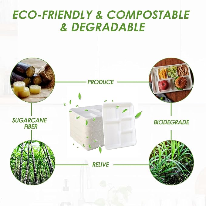 Vplus 500 Pack 5 Compartment Plates, 100% Compostable Paper Plate, 10.25x8.5 - Image 5