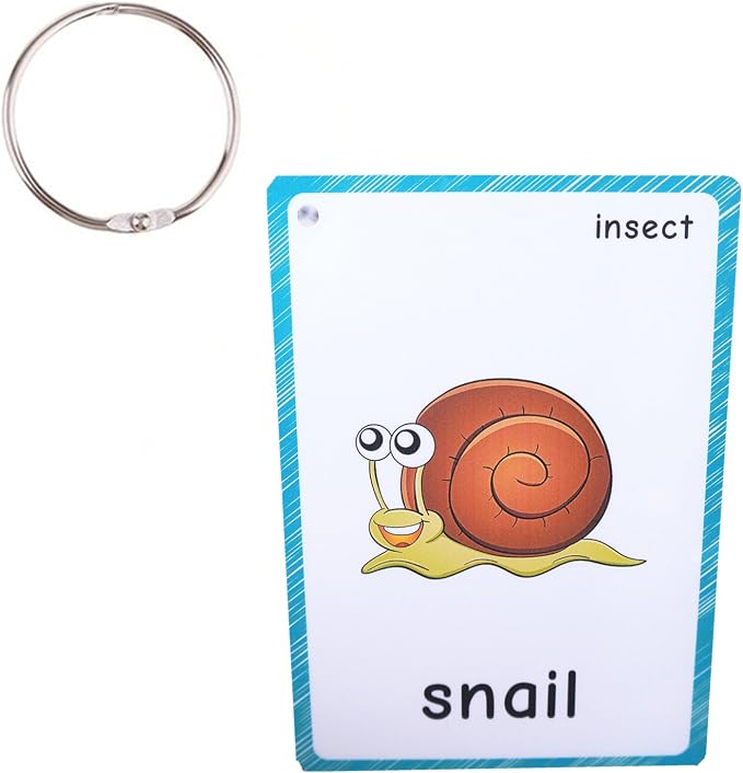 SANTSUN 14 Insects and Bugs Flashcards - Image 2