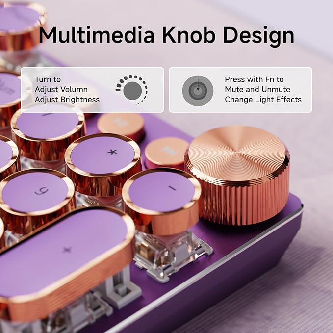 EWEADN Typewriter Style Mechanical Gaming Keyboard, Wired Mechanical Keyboards,104 Keys Backlit LED Keyboards, Media Control Knob, Wired Computer Keyboard Pink Switch for Windows/Mac/PC-Purple-DeskLoop Office