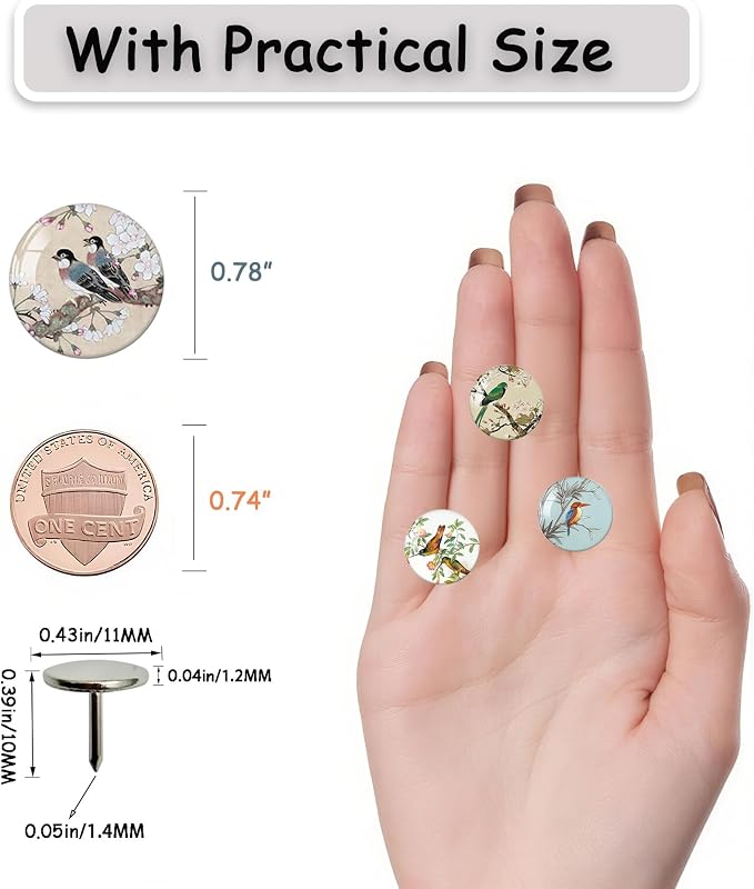 24Pcs Bird Decorative Pins and Tacks, Thumb Tacks - Image 4
