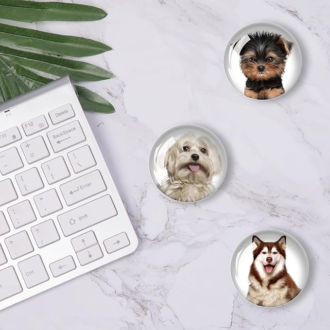 12Pcs Glass Refrigerator Magnet Fridge Sticker,Dog Fridge Magnets Decoration for Crafts,Strong Fridge Magnets for Kitchen, School,Office Whiteboard, Cabinet and Dishwasher-DeskLoop Office