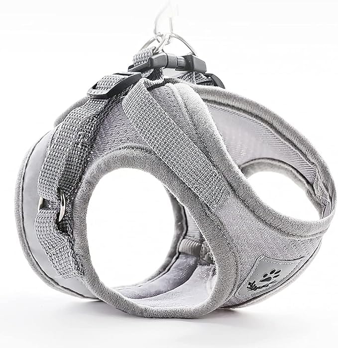 FEimaX Dog Harness and Leash Set - Image 5