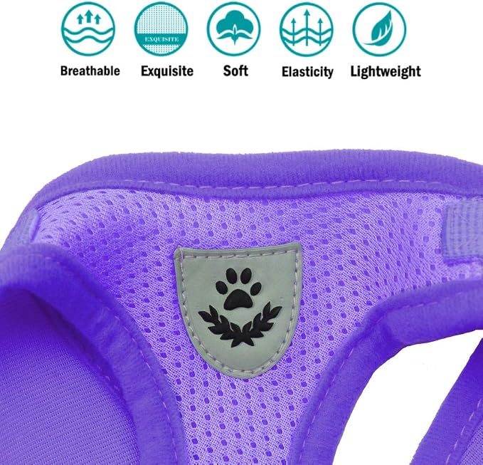 FEimaX Dog Harness and Leash Set - Image 7