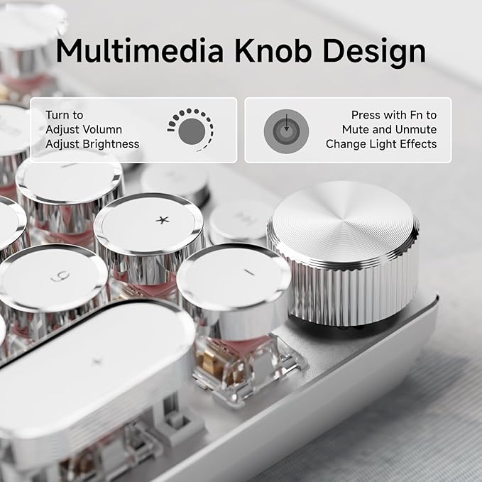 EWEADN Typewriter Style Mechanical Gaming Keyboard, Wired Mechanical Keyboards,104 Keys Backlit LED Keyboards, Media Control Knob, Wired Computer Keyboard Pink Switch for Windows/Mac/PC-White-DeskLoop Office