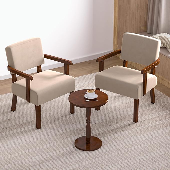 Accent Chair, Cat-Scratch Velvet Living Room Chairs Oversize with Soft Seat and Armrests for Dinning Room Bedroom Reading Room Waiting Room-DeskLoop Office