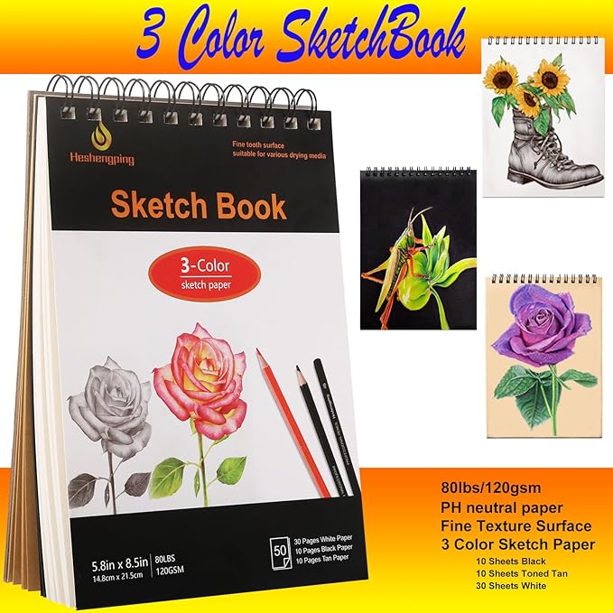 Sketch & Drawing Art Pencil Kit 52 Piece Set, 24 Color Pencil for Coloring Books, Pencil of Graphite & charcoal, 3-color Sketchbook, coloring book Etc, Art Supply Ideal for Adult Student Beginner Teen-DeskLoop Office