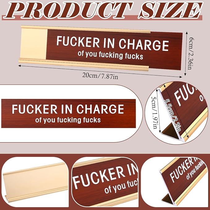 Weysat Funny Desk Signs for Office fun Office Accessories Novelty Nameplate - Image 3