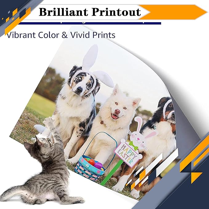 PG-260XL CL-261XL PG260 PG-260 CL261 CL-261 Ink Cartridges, Compatible for Canon TS6420a TS6420 TR7020a TR7020 TS5320 All in One Printers【High Print Volume with Chip Black*1-DeskLoop Office