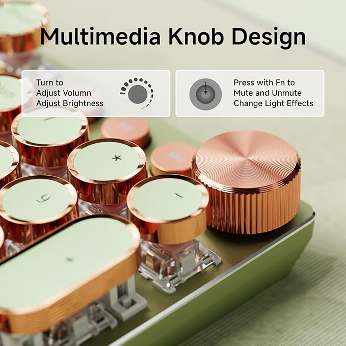 EWEADN Typewriter Style Mechanical Gaming Keyboard, Wired Mechanical Keyboards,104 Keys Backlit LED Keyboards, Media Control Knob, Wired Computer Keyboard Pink Switch for Windows/Mac/PC-Green-DeskLoop Office