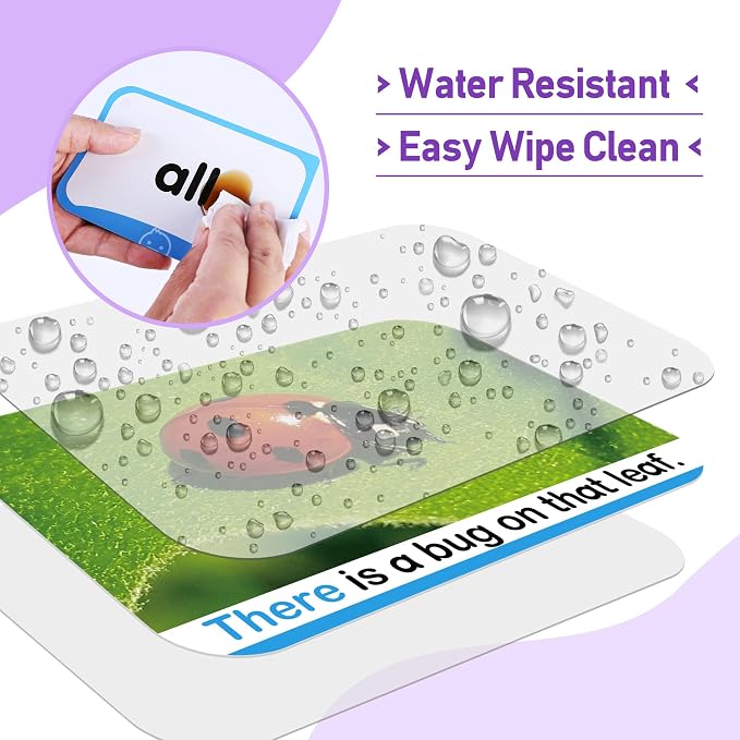 BenBen Sight Words Flash Cards, 350 Dolch & Fry High Frequency Site Words and - Image 6