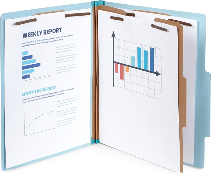 10 Blue Classification Folders - Image 5
