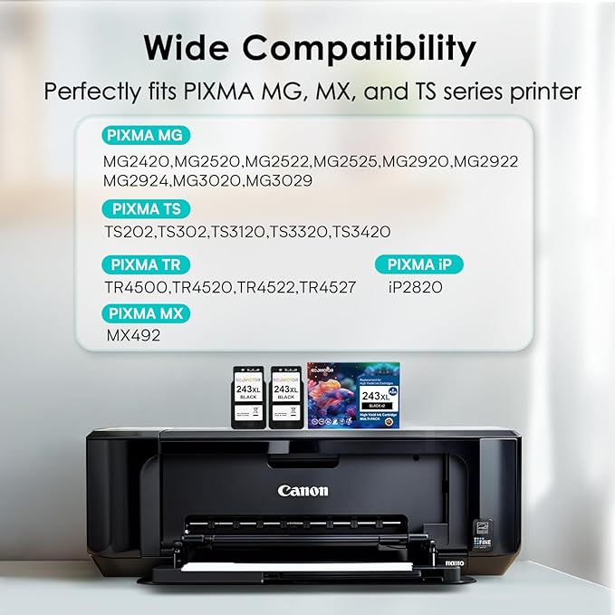 243XL Black Compatible Ink Cartridge Replacement for Canon 243 243XL PG-243 PG 243 XL Black Ink Cartridges for TR4520 TR4522 MG2522 MX490 MX492 TS3320 TS3120 TS202 MG2922 Printer (2-Pack)-DeskLoop Office