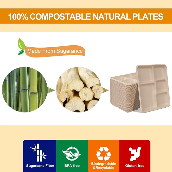 WELLIFE 125 Pack Kids Small 5-Compartment Paper Plates, 10.25x8.25 Inch 100% - Image 8