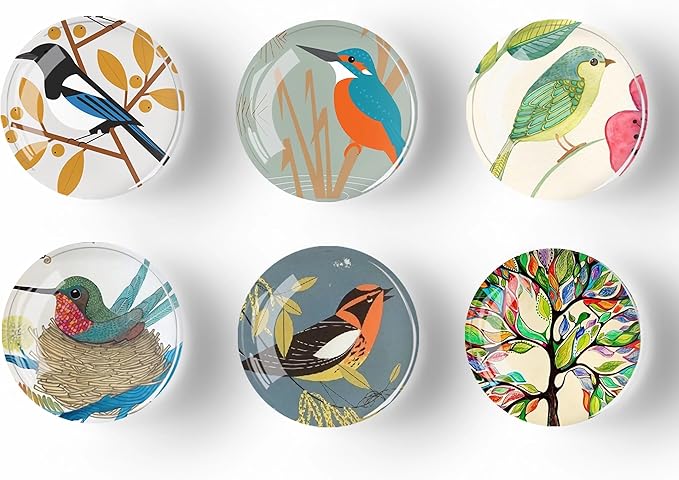12Pcs Glass Refrigerator Magnet Fridge Sticker,Bird Fridge Magnets Decoration for Crafts,Strong Fridge Magnets for Kitchen, School,Office Whiteboard, Cabinet and Dishwasher-DeskLoop Office