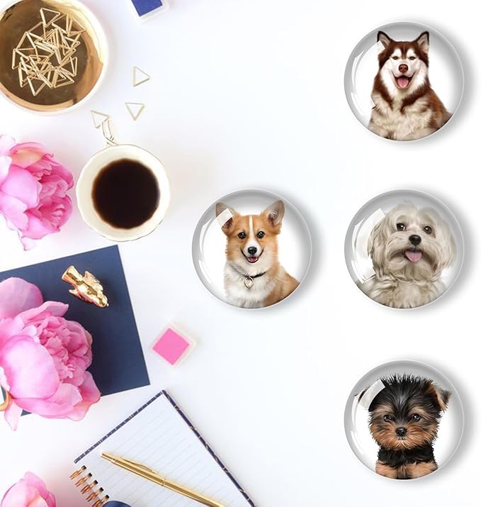 12Pcs Glass Refrigerator Magnet Fridge Sticker,Dog Fridge Magnets Decoration for Crafts,Strong Fridge Magnets for Kitchen, School,Office Whiteboard, Cabinet and Dishwasher-DeskLoop Office