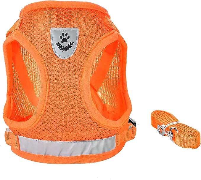 FEimaX Dog Harness and Leash Set - Image 3