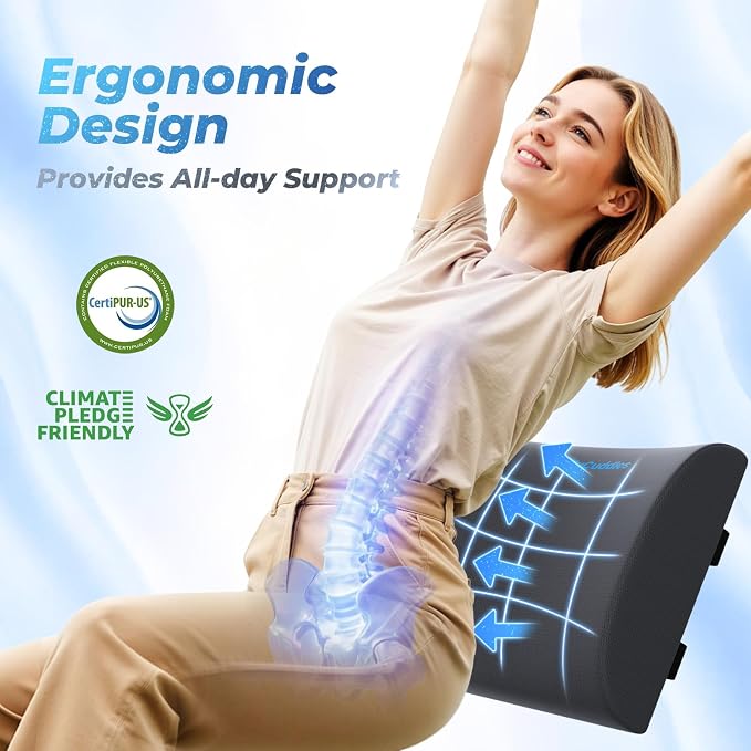 Lumbar Support Pillow for Office Chair Back Support - Image 3