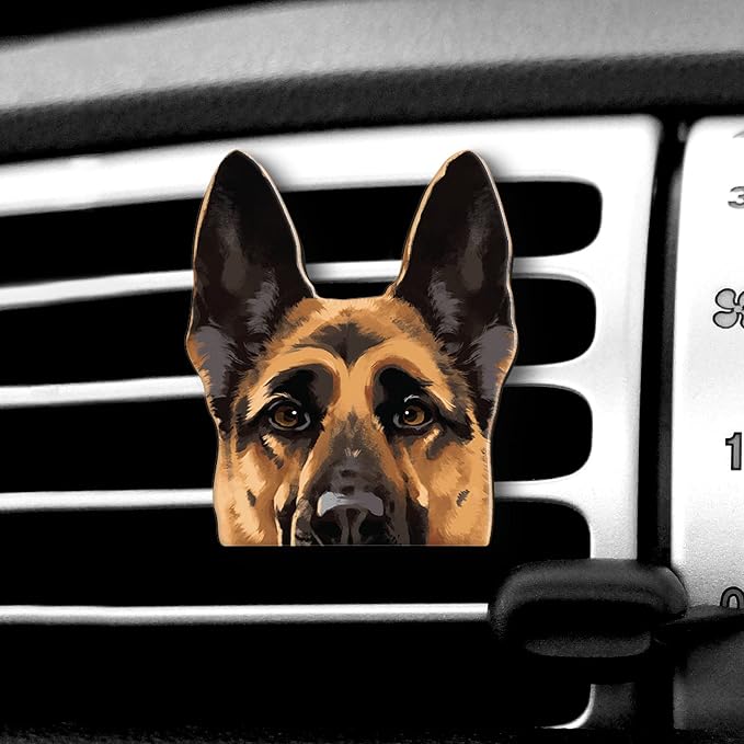 WIRESTER Fresh Scented Car Air Freshener Vent Clip, Decorative Accessories by WIRESTER