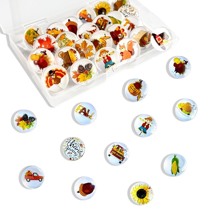 24Pcs Thanksgiving Decorative Push Pins Fall Theme Thumbtacks by Tandarui