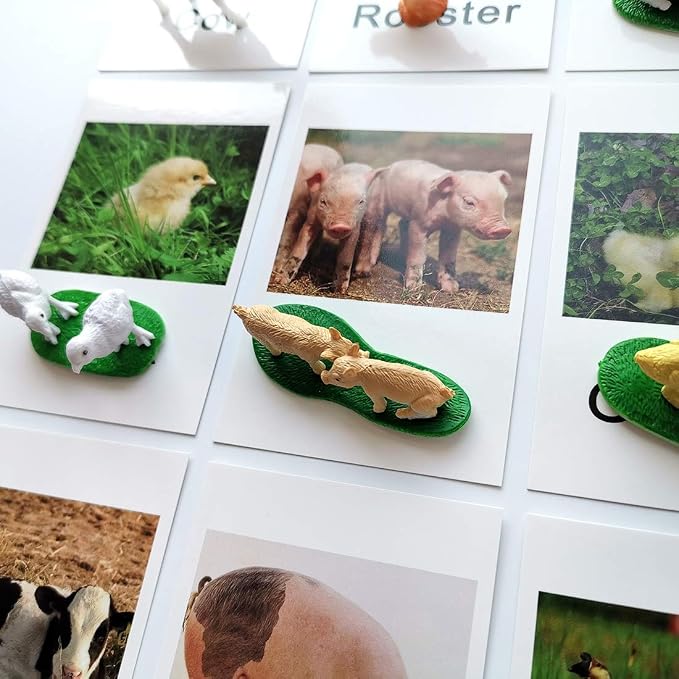 MEROCO Montessori Animal Match - Image 5