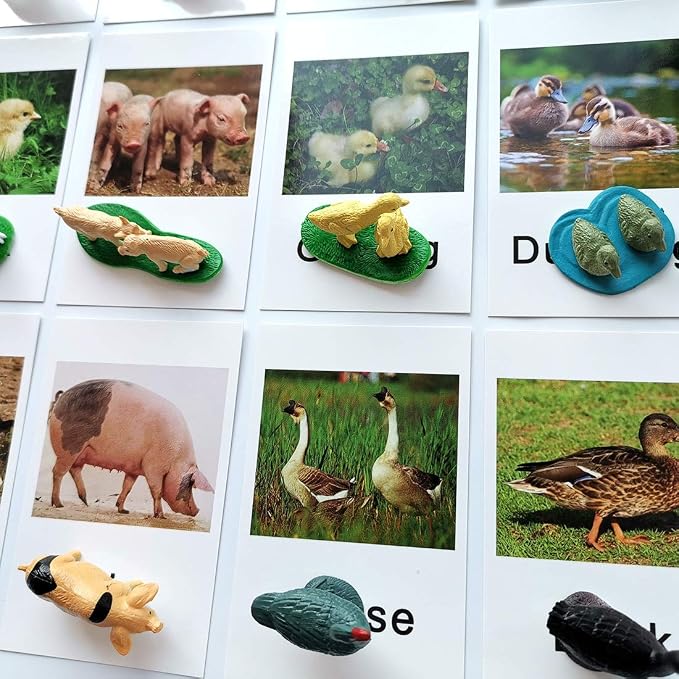 MEROCO Montessori Animal Match - Image 6