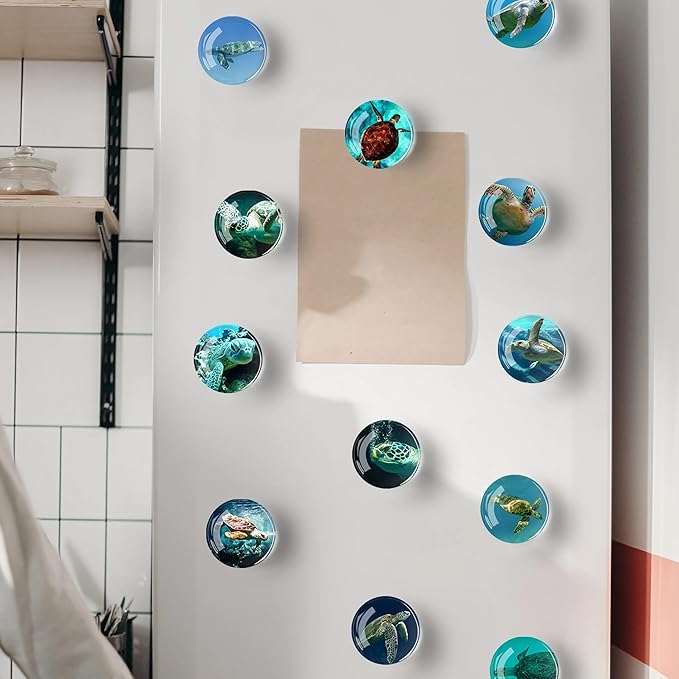 12Pcs Glass Refrigerator Magnet Fridge Sticker,Turtle Fridge Magnets Decoration for Crafts,Strong Fridge Magnets for Kitchen, School,Office Whiteboard, Cabinet and Dishwasher-DeskLoop Office