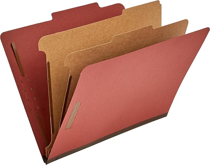 Amazon Basics Classification Folder by AmazonBasics