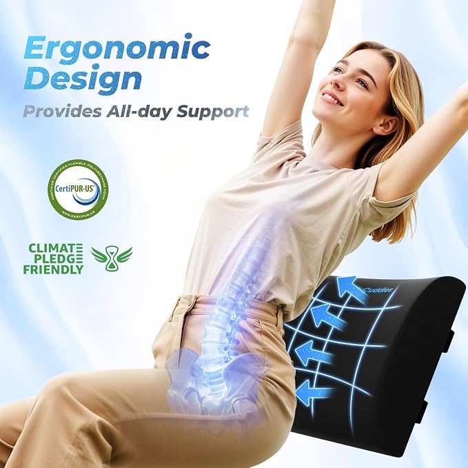 Lumbar Support Pillow for Office Chair Back Support - Image 3