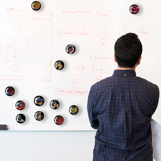 12Pcs Glass Strong Magnetic Refrigerator Magnet Fridge Sticker,Fish Fridge Magnets Decoration for Crafts,Strong Fridge Magnets for Kitchen, School,Office Whiteboard, Cabinet and Dishwasher-DeskLoop Office