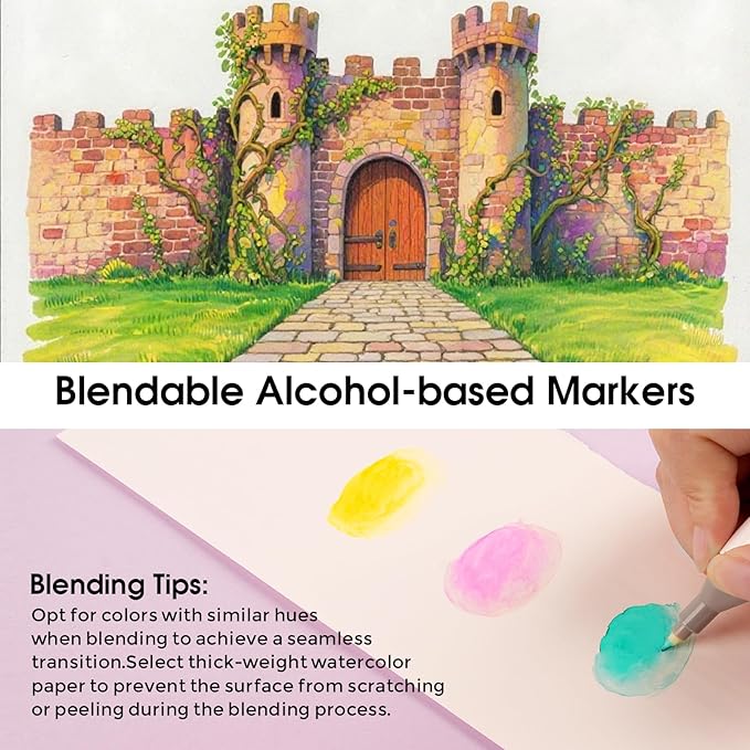 100 Colors Alcohol Markers Set, Dual Tips Blender Art Marker for Drawing, Permanent Sketch Markers for adult coloring, Alcohol Based, Adults Coloring and Artist Illustration.(BRUSH TIP)-DeskLoop Office