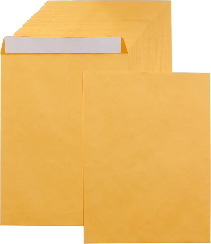 Amazon Basics Catalog Self Seal Mailing Envelopes by AmazonBasics