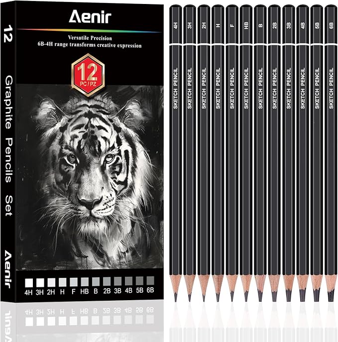 Aenir Sketch Pencils for Drawing, Artist Graphite Pencils, Sketch Set for by Aenir