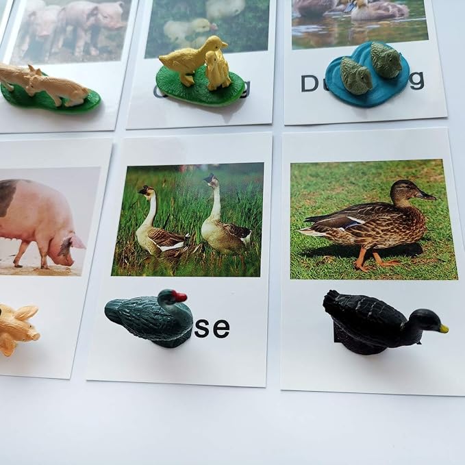 MEROCO Montessori Animal Match - Image 4