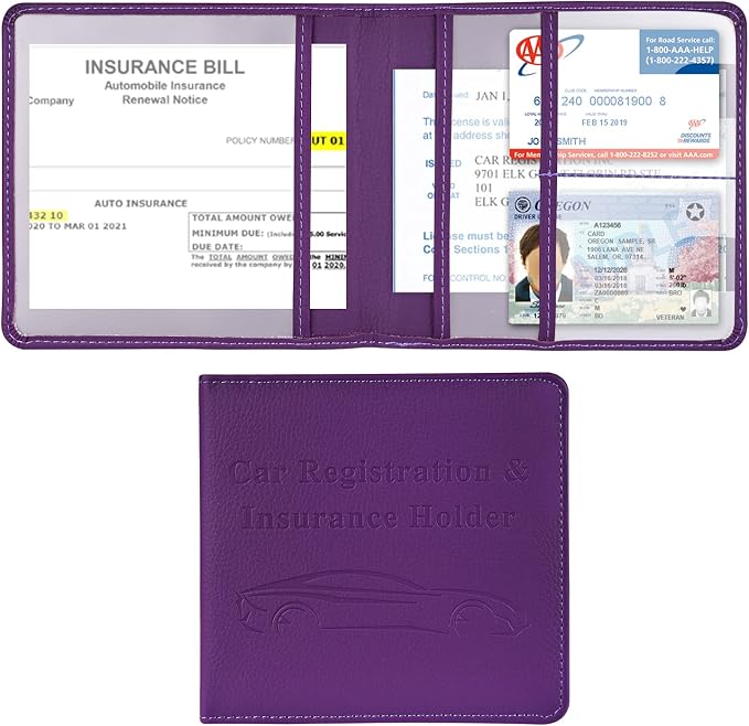 Cacturism Car Registration and Insurance Holder, Vehicle Glove Box Car by CACTURISM
