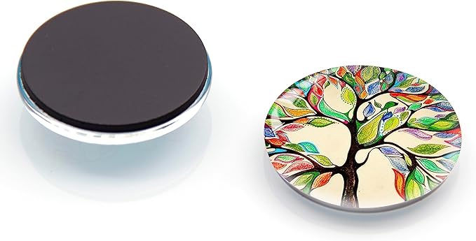 12Pcs Glass Refrigerator Magnet Fridge Sticker,Bird Fridge Magnets Decoration for Crafts,Strong Fridge Magnets for Kitchen, School,Office Whiteboard, Cabinet and Dishwasher-DeskLoop Office