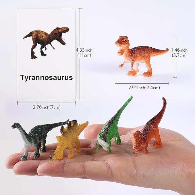 MEROCO Dinosaur Animal Flash Cards - Image 2