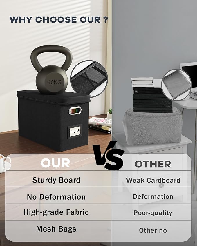 Oterri File Organizer Box with Lid, Hanging Filing File Box with Mesh Pocket, Document Organizer Box for Letter Files, Portable Storage Box with Smooth Sliding Rail for Office&Home (2 PCS, Black)-DeskLoop Office