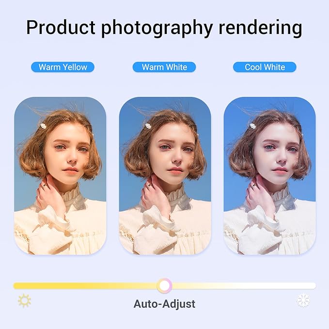 2K Webcam,Webcams for PC, AutofocusNoise Cancellation,Plug & Play USB Web cam for Laptop, Desktop, PC, Mac, Zoom, Skype, Streaming-DeskLoop Office